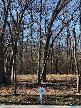 Oak Meadow Lot 4 Hadley, Homer Glen, IL 60491