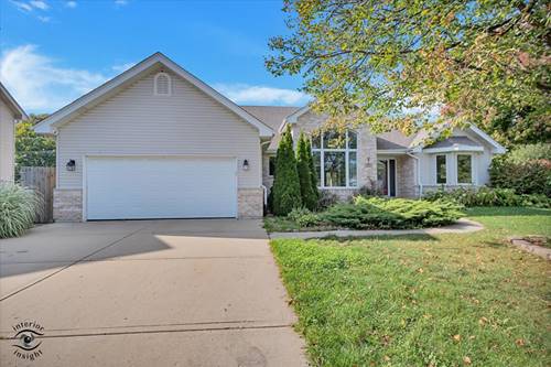 513 Pueblo, New Lenox, IL 60451