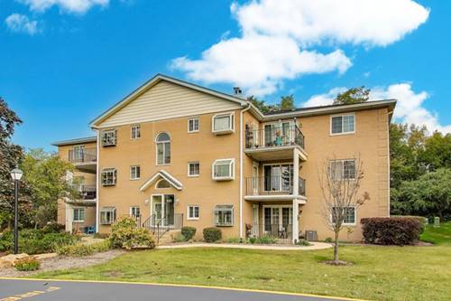 462 S President Unit 202, Carol Stream, IL 60188