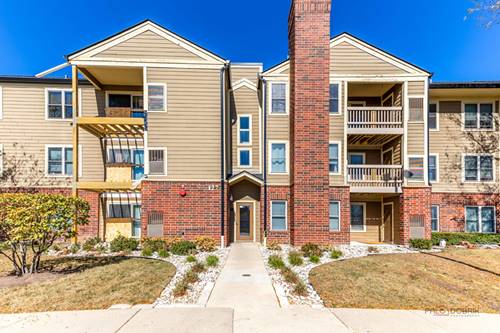 127 Glengarry Unit 307, Bloomingdale, IL 60108