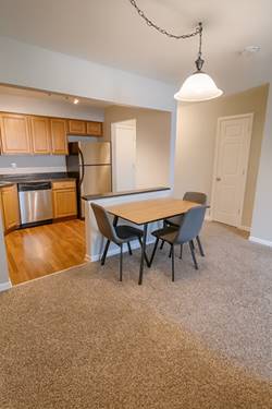 1100 N Plum Grove Unit 313, Schaumburg, IL 60173