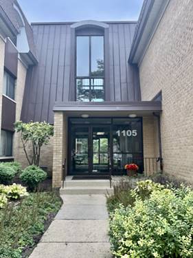 1105 N Mill Unit 224, Naperville, IL 60563