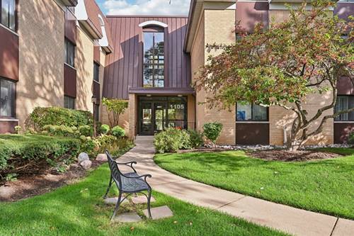 1105 N Mill Unit 224, Naperville, IL 60563