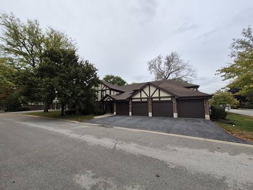 8216 Mulberry Unit 8B, Palos Hills, IL 60465