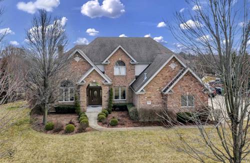 17965 S Foxhound, Mokena, IL 60448