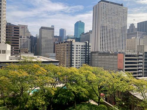 10 E Ontario Unit 1201, Chicago, IL 60611