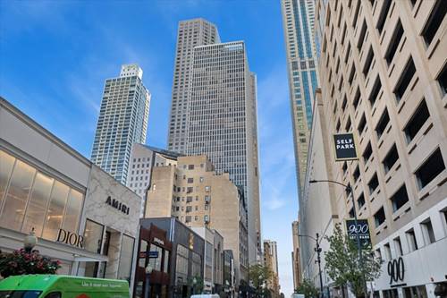 100 E Walton Unit 33A, Chicago, IL 60611