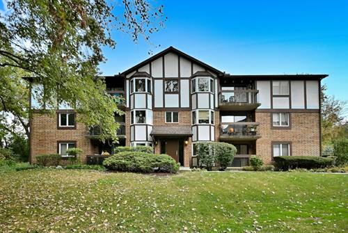 6810 Joliet Unit 5, Indian Head Park, IL 60525