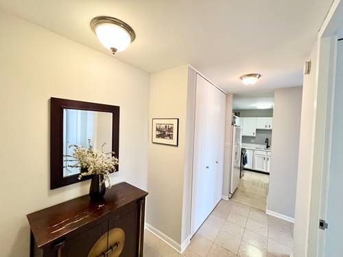 100 E Walton Unit 14A, Chicago, IL 60611