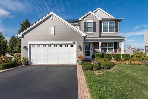 246 Telluride, Fox Lake, IL 60020