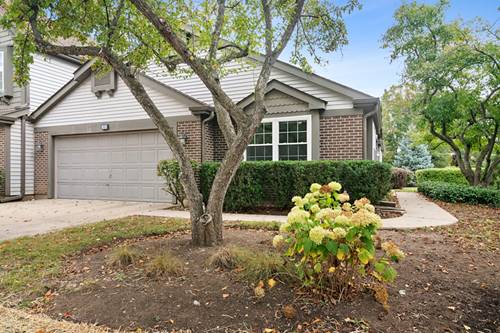 381 Bentley, Buffalo Grove, IL 60089