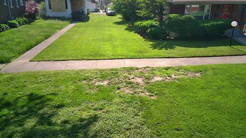 7736 S Indiana, Chicago, IL 60619