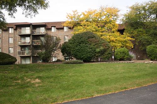 820 Elder Unit 416, Homewood, IL 60430