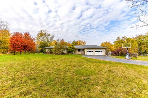 13076 W Pickford, Wadsworth, IL 60083