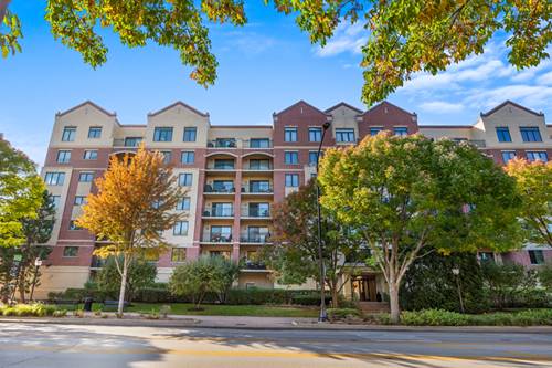 20 S Main Unit 301, Mount Prospect, IL 60056
