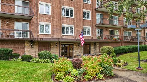 9500 Washington Unit 306, Niles, IL 60714