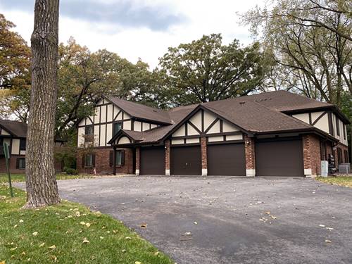 11210 Sycamore Unit 61C, Palos Hills, IL 60465