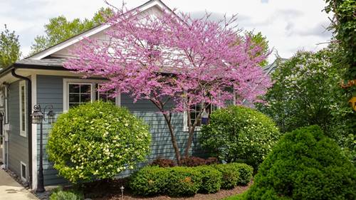 22w474 Emerson, Glen Ellyn, IL 60137