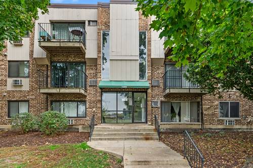1489 N Winslowe Unit 303, Palatine, IL 60074