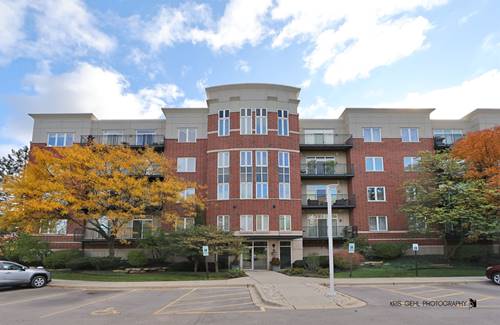 820 Weidner Unit 401, Buffalo Grove, IL 60089