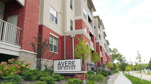 437 Duane Unit 309, Glen Ellyn, IL 60137