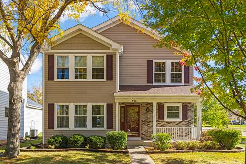 334 Ogden Falls, Oswego, IL 60543