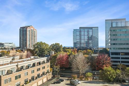 1845 S Michigan Unit 808, Chicago, IL 60616