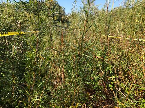 14 Alexandra, Libertyville, IL 60048