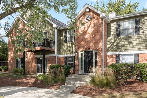 1521 Raymond Unit 103, Naperville, IL 60563