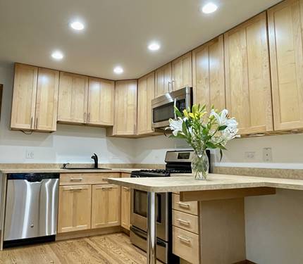 5145 Washington Unit 2, Downers Grove, IL 60515