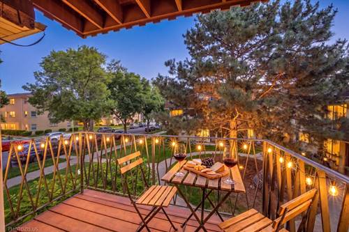 8559 W Rascher Unit 2N, Chicago, IL 60656
