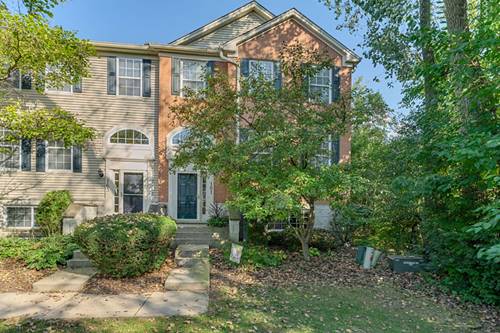161 Patrick, Willow Springs, IL 60480