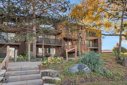 1327 Cass Unit 301, Westmont, IL 60559