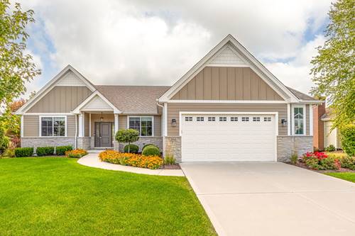 20948 Lakewoods, Shorewood, IL 60404