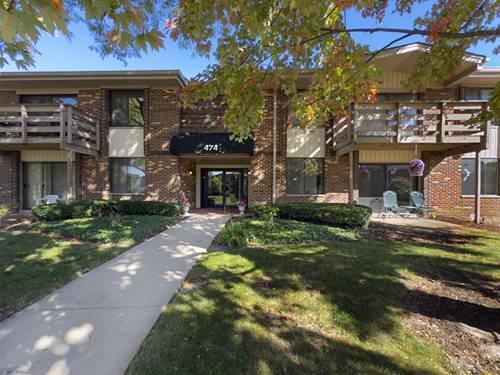 474 Raintree Unit 1C, Glen Ellyn, IL 60137