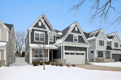 557 N Myrtle, Elmhurst, IL 60126