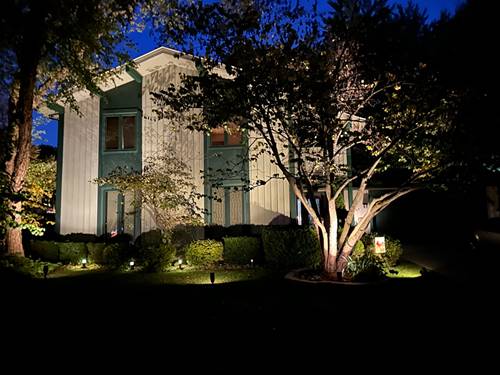 245 Little John, Bartlett, IL 60103