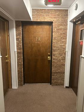 943 Olive Unit 1A, Homewood, IL 60430