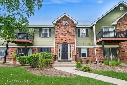 1336 Mcdowell Unit 201, Naperville, IL 60563
