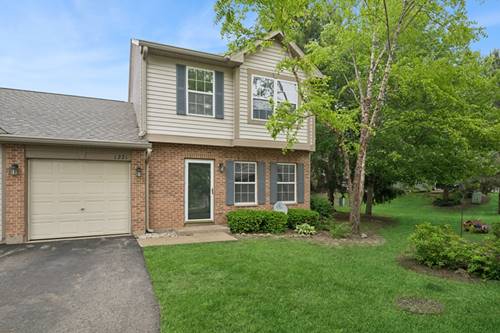 1221 N Village, Round Lake Beach, IL 60073