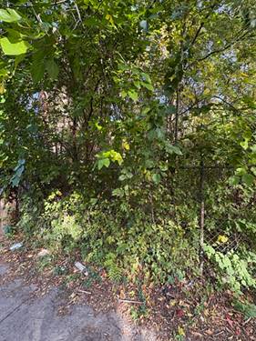 6705 S Parnell, Chicago, IL 60621