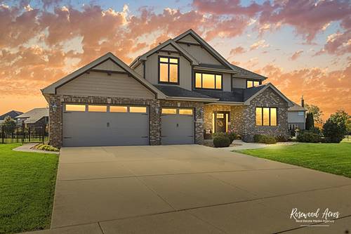 11453 Falls View, Frankfort, IL 60423