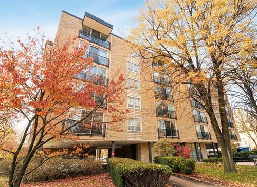 424 Park Unit 205, River Forest, IL 60305