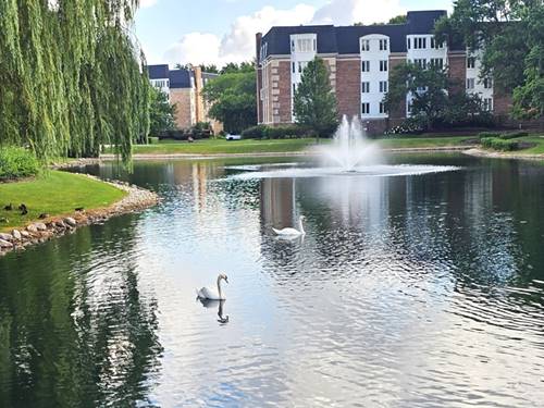 150 Lake Unit 125, Buffalo Grove, IL 60089