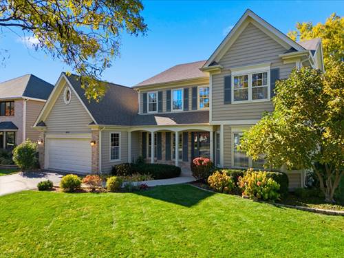 6812 Greene, Woodridge, IL 60517