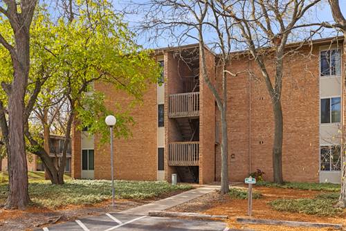 6008 Lake Unit 1A, Lisle, IL 60532