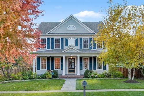 785 Meadow, Libertyville, IL 60048