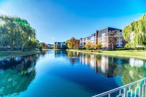 100 Lake Unit 603, Buffalo Grove, IL 60089