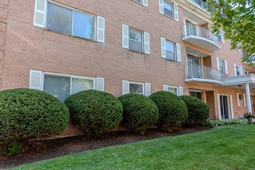 415 Wesley Unit 24, Oak Park, IL 60302