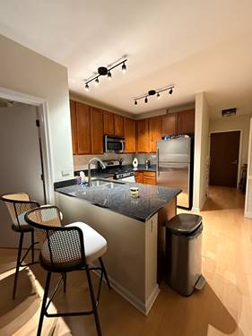 1255 S State Unit 905, Chicago, IL 60605